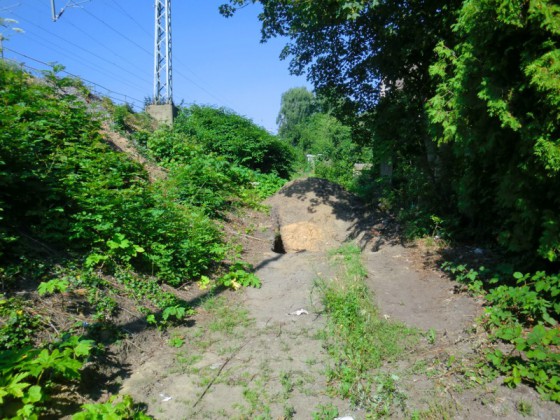 BahnhofNordbahnsteig130706_800x600