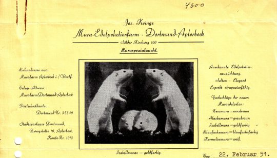 Briefkopf der Pelztierfarm Westfalen, 1951 (Sammlung Klaus Winter)